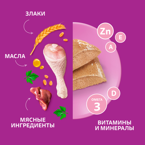 

Влажный корм Whiskas Для котят паштет с курицей 75 г