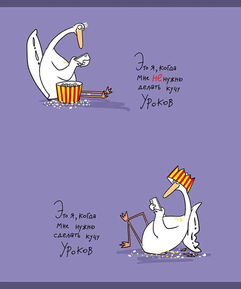 

Тетрадь ПЗБМ Гуси А5 скрепка матовая ламинация клетка 48 л дизайн в ассортименте