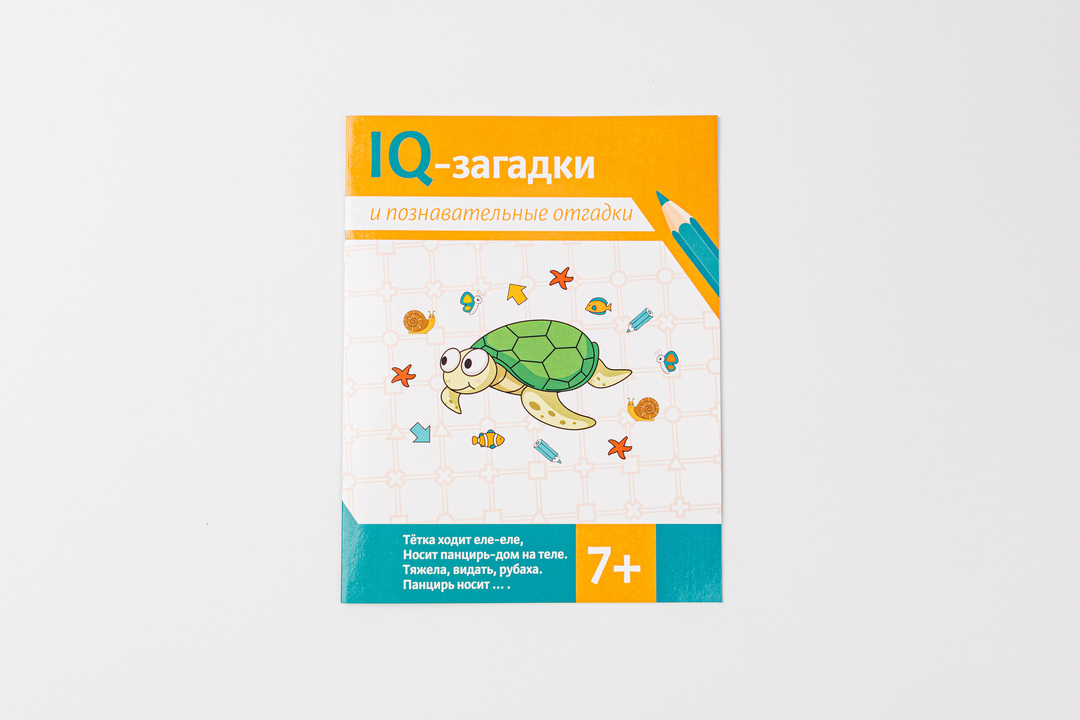 

IQ-загадки и познавательные отгадки. Черняева Валентина Юрьевна