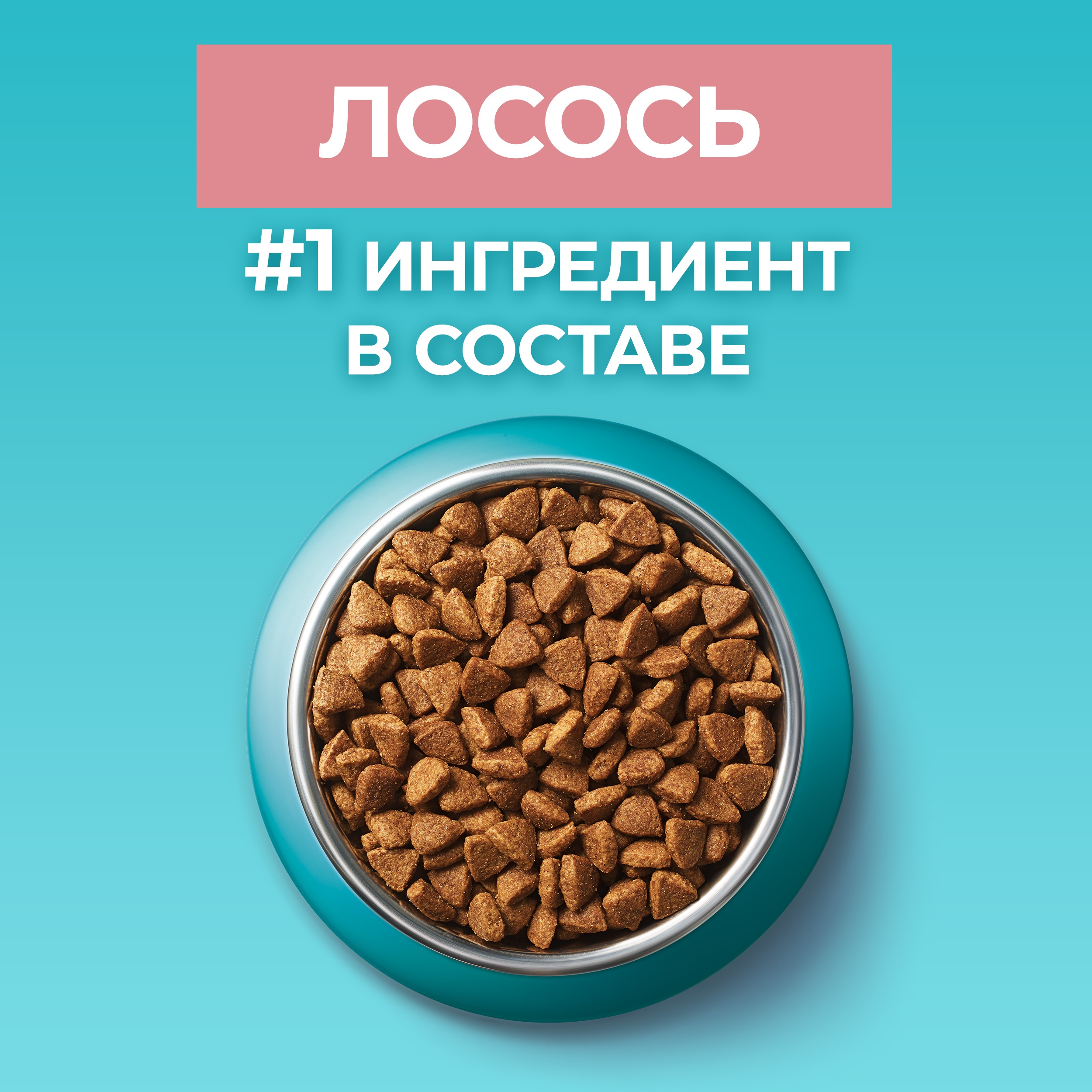 

Сухой корм Purina One для стерилизованных кошек и кастрированных котов с высоким содержанием лосося и пшеницей пакет 750 г