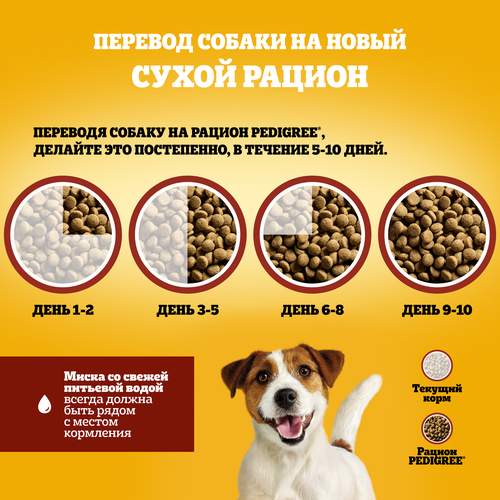 

Сухой корм Pedigree для взрослых собак маленьких пород говядина 2 кг
