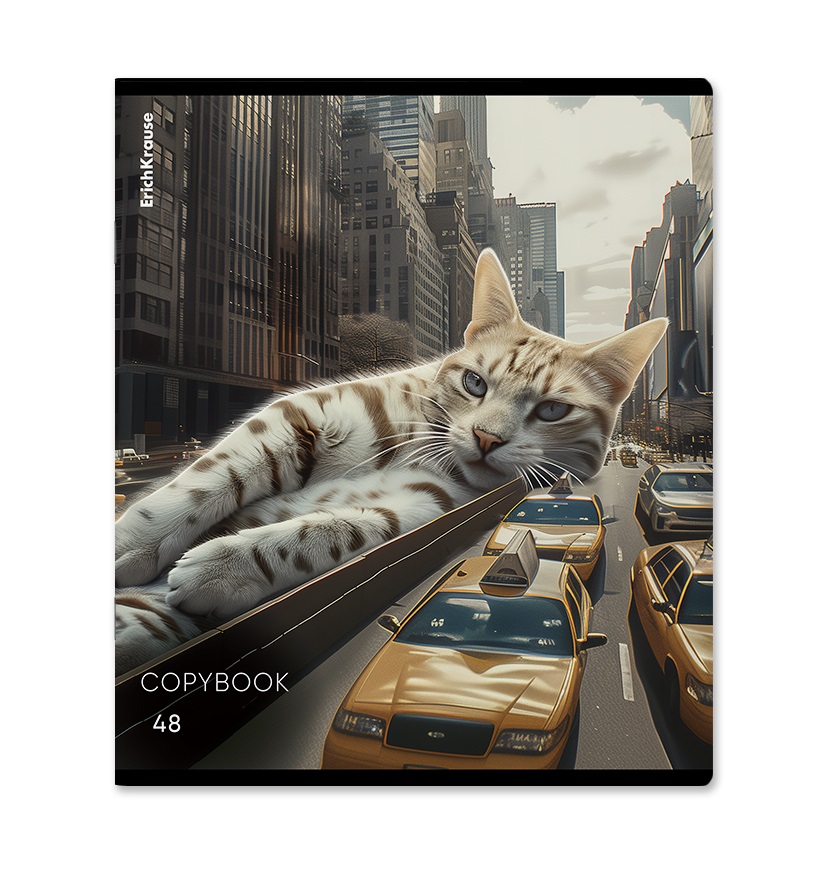 

Тетрадь ErichKrause Big City Cats общая ученическая 48 л 1 шт. дизайн в ассортименте