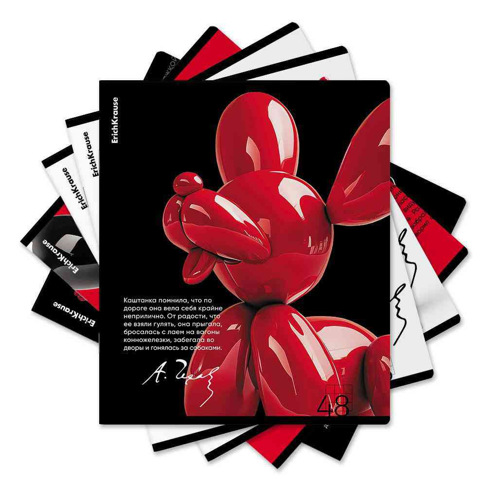 

Тетрадь ErichKrause Ballon Dog А5 общая в клетку 48 листов дизайн в ассортименте 1 шт.