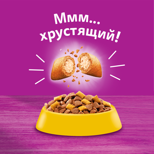 

Сухой корм Whiskas для стерилизованных кошек с курицей и вкусными подушечками 350 г