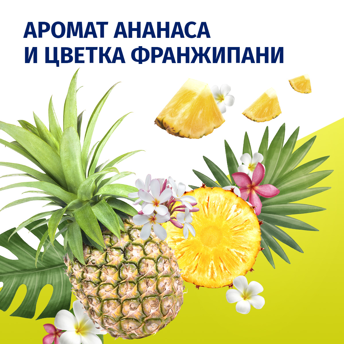 

Дезодорант женский спрей Фа Гавайи Fun Ананас и цветок франжипани 150 мл