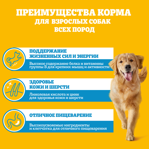 

Влажный корм Pedigree для собак кролик и индейка в соусе 85 г