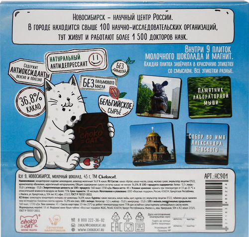 

Шоколад молочный Chokocat Новосибирск с магнитом 45 г