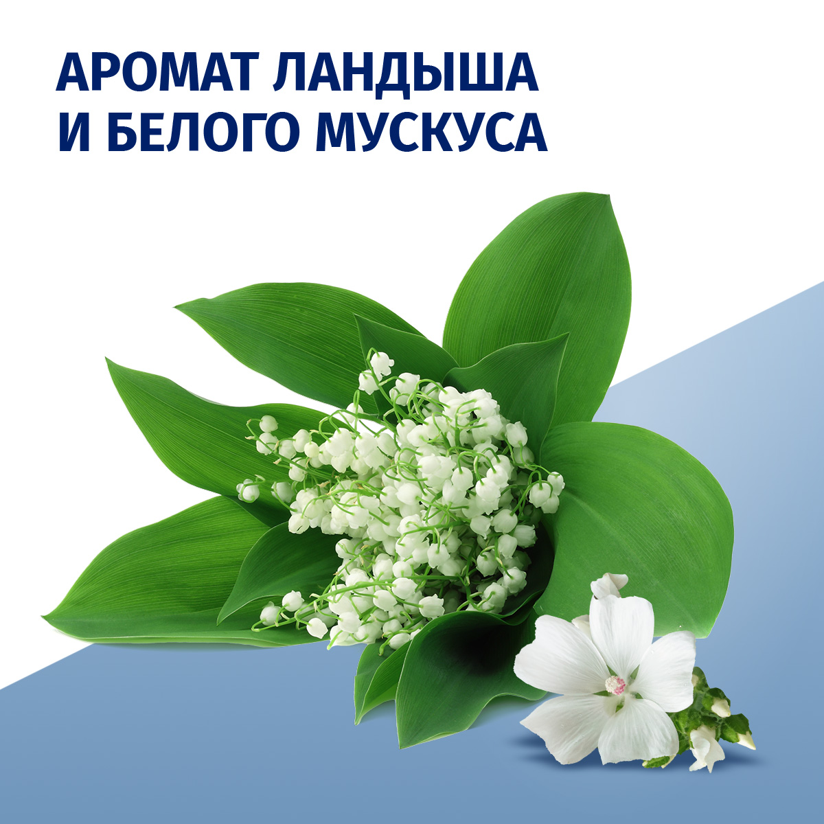 

Дезодорант женский спрей Фа Прозрачная защита 150 мл