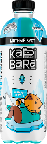 

Напиток Kapibara Мятный буст 500 мл