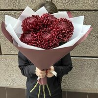 Изображение 2