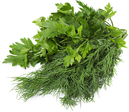 

Набор свежей зелени укроп и петрушка, 40г