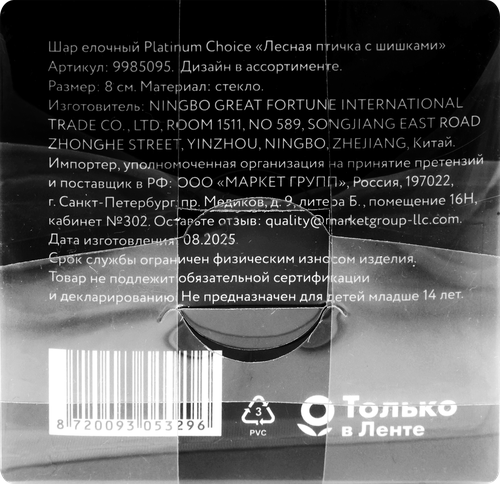 

Шар елочный Homeclub Лесная птичка d=8см, с шишками, стекло, в ассортименте