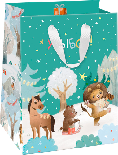 

Пакет подарочный City Home Trade И-го-год 23 х 18 х 10 см дизайн в ассортименте