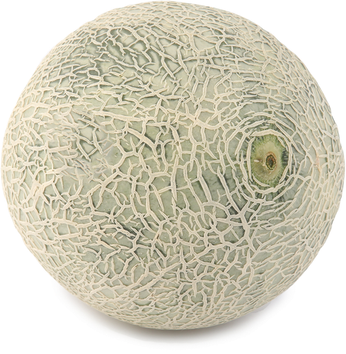 

Дыня Карамель вес