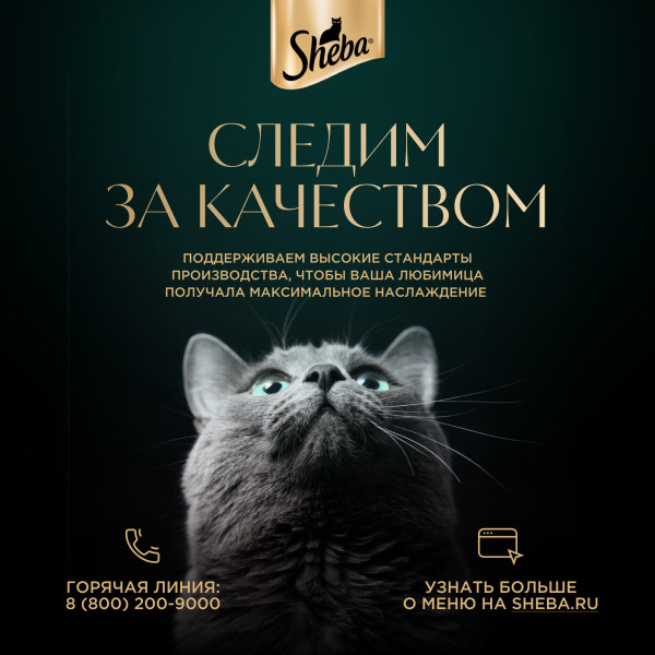 

Влажный корм для кошек Sheba Ломтики в соусе Курица и индейка 75 г