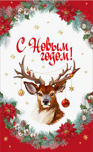 

Пакеты подарочные B&H С Новым Годом фольга 25 х 40 см 10 шт. дизайн в ассортименте