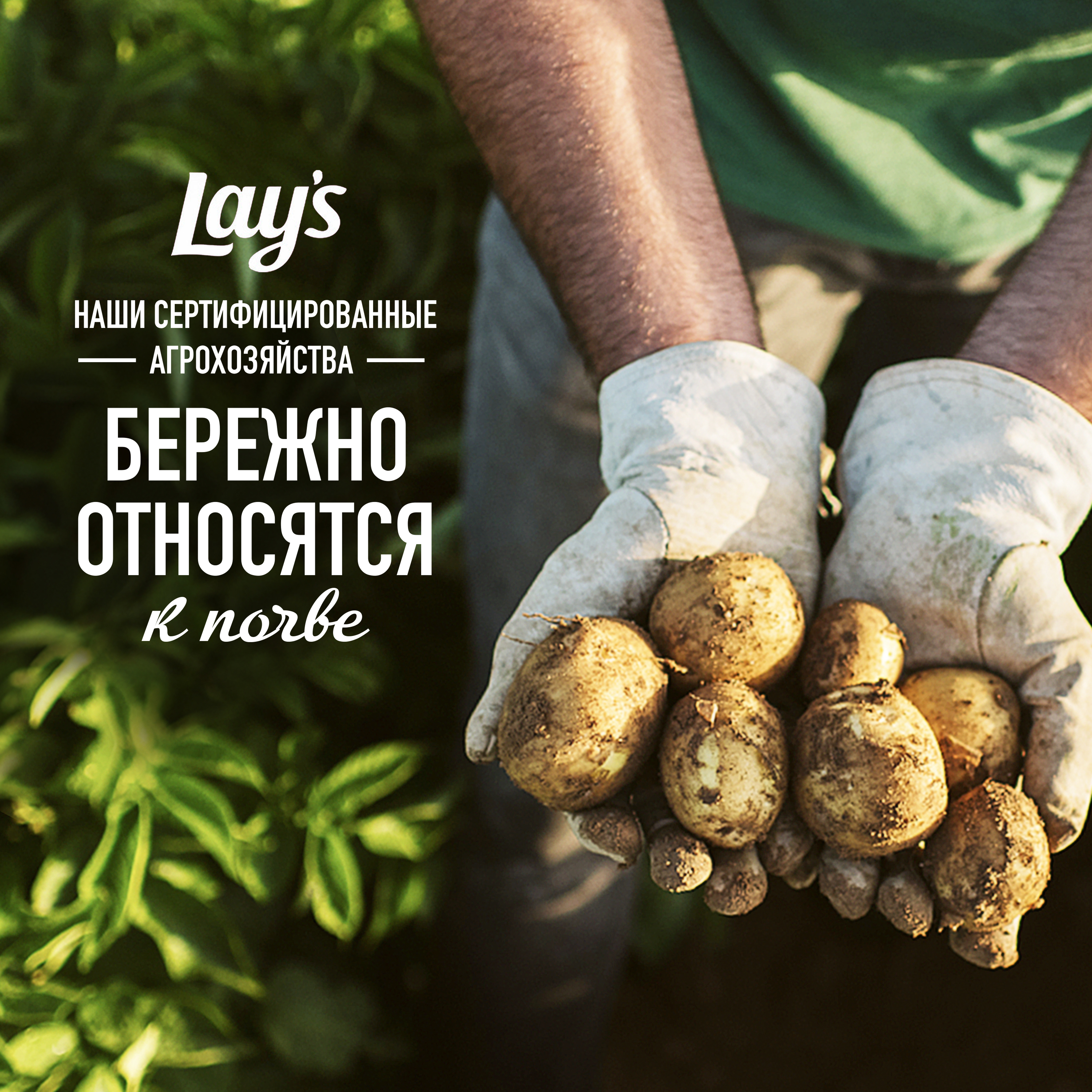 

Картофельные чипсы Lay's Рифленые Сметана и Лук 70 г