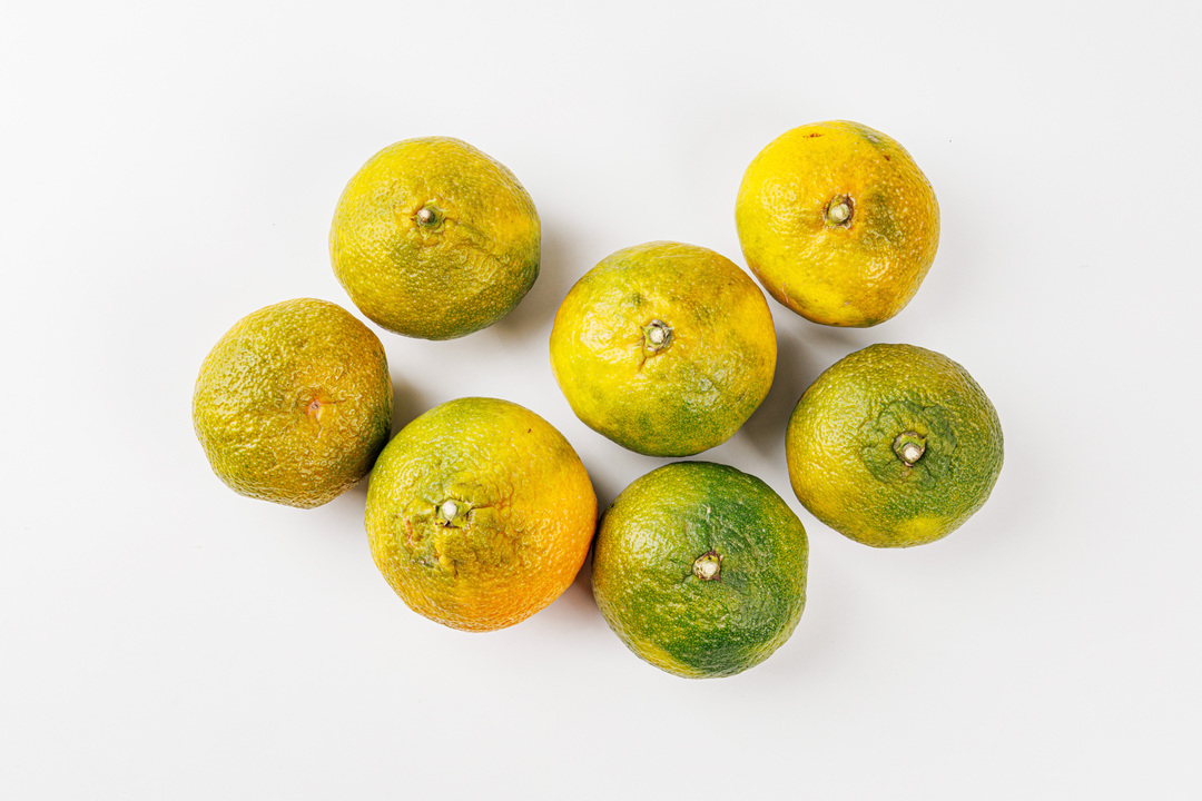 

Мандарины Абхазия весовые