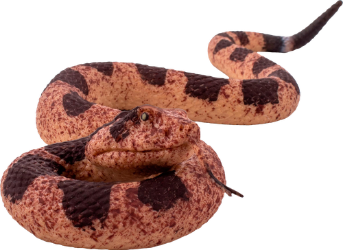 

Игровой набор Kiddie Play Змея 1 шт. в ассортименте