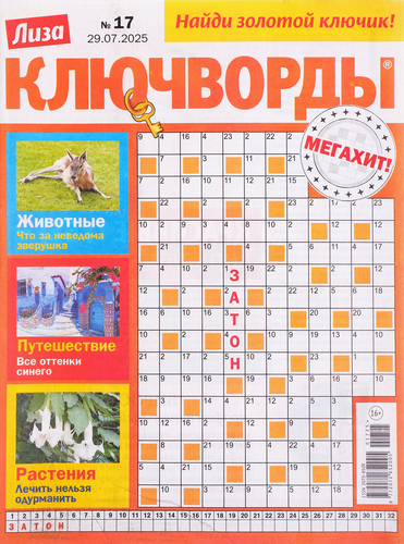 

Журнал Лиза Ключворды