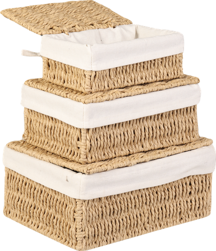 

Корзина для хранения Homeclub с крышкой 3 шт, арт. AMCHA-1