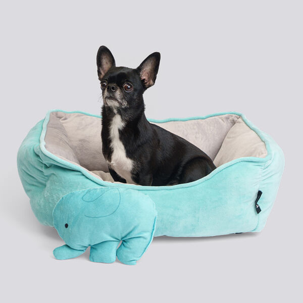 Лежак Rurri для кошек и собак мелких пород бирюзовый с игрушкой слонёнок 54x45x17 см
