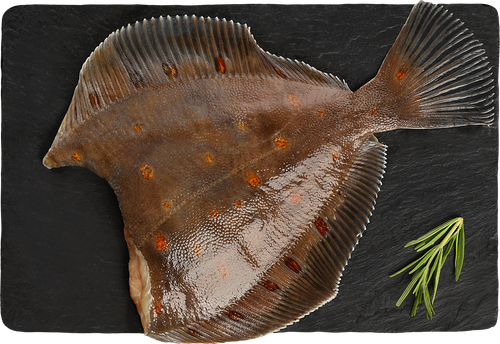 

Камбала Лента Fresh СП потр б/г охл вес до 500г