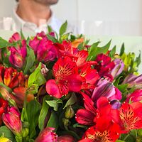 Изображение 8