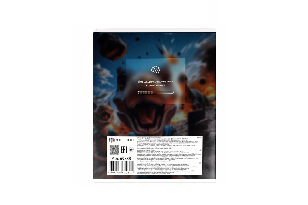 

Тетрадь общая Феникс+ Селфи История в клетку 48 листов