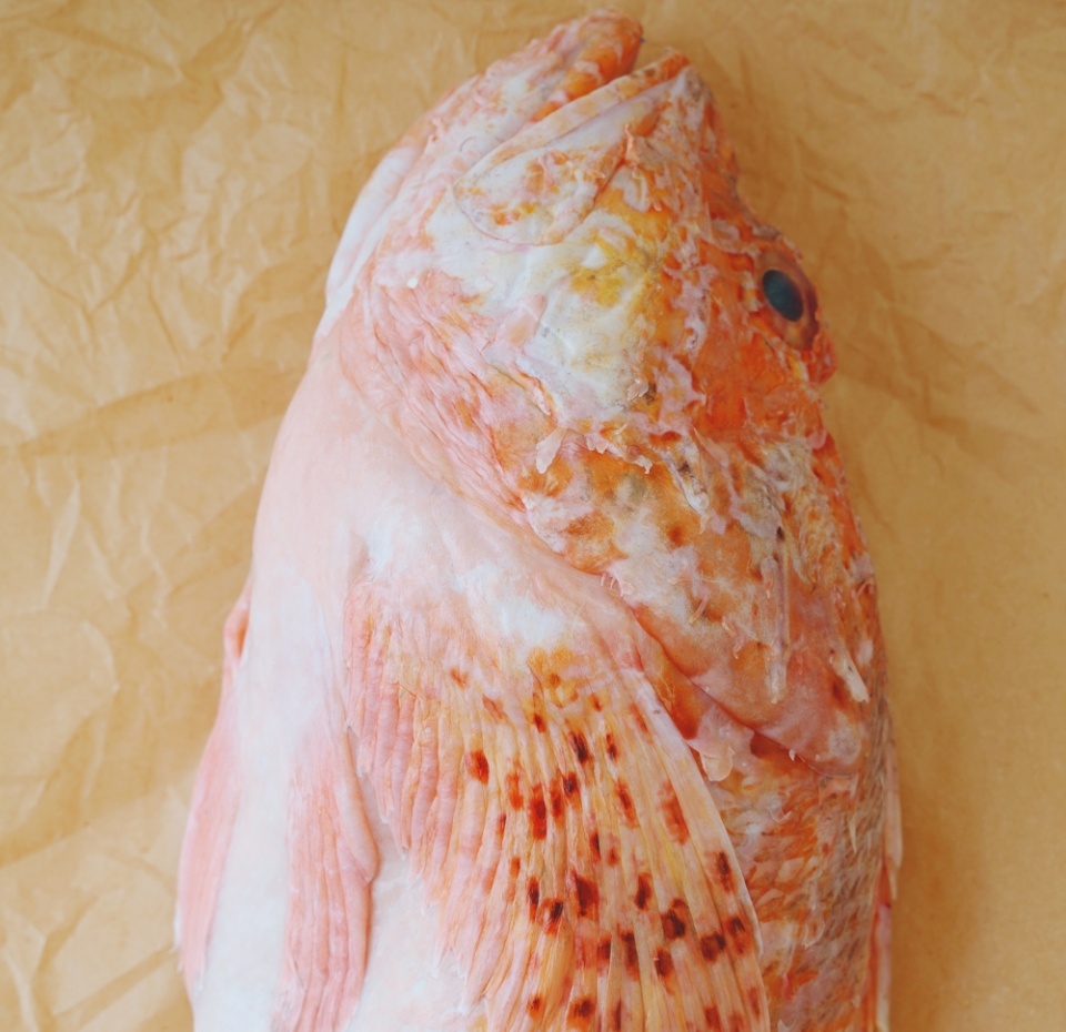 

Скорпена морской ерш Марокко, вес