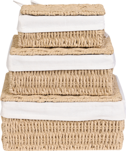 

Корзина для хранения Homeclub с крышкой 3 шт, арт. AMCHA-1