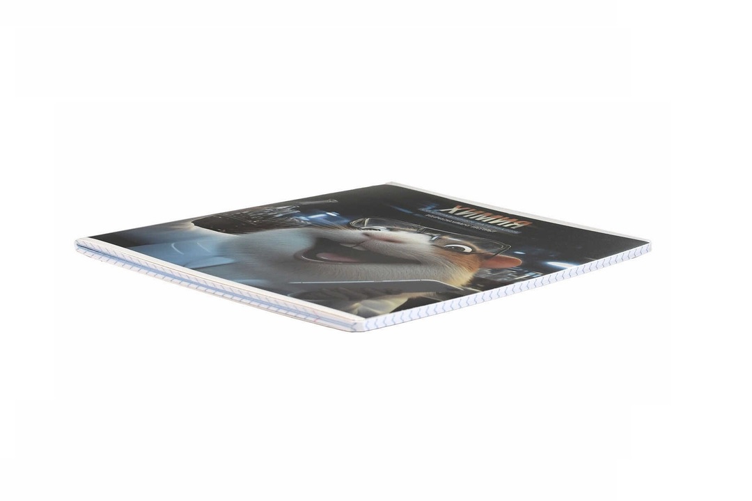 

Тетрадь общая Феникс+ Селфи Химия в клетку 48 листов