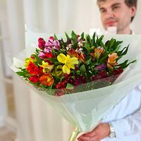 Изображение 12