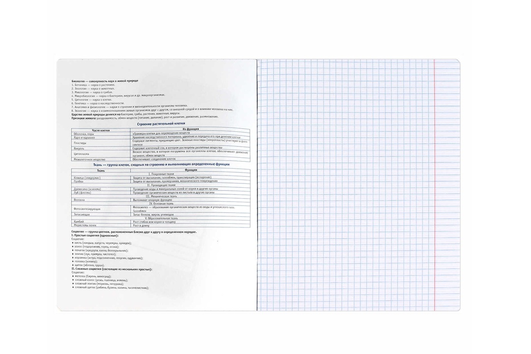 

Тетрадь общая Феникс+ Селфи Биология в клетку 48 листов