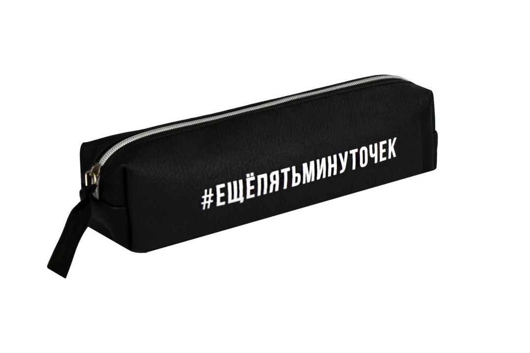 

Пенал Феникс+ Фразы без наполнения на молнии 20.5х5х4 см