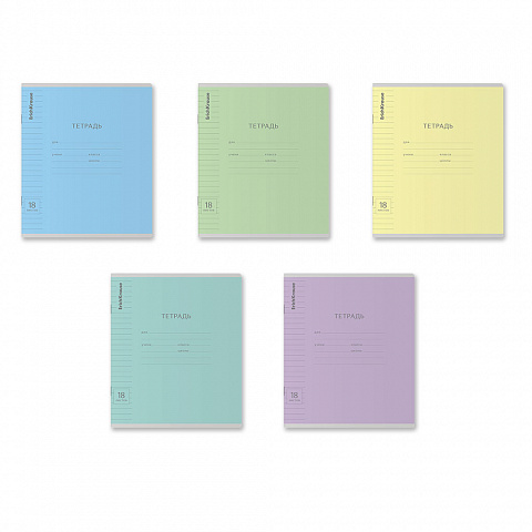 

Тетрадь ErichKrause Классика Visio линейка А5 18 л 1 шт., обложка в ассортименте