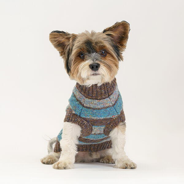 Свитер Rurri в полоску для кошек и собак S, голубой