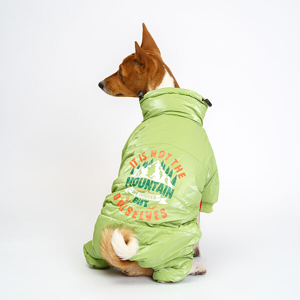 Комбинезон Petmax для собак M зеленый