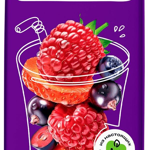 Напиток сокосодержащий Моя семья Фруктово-ягодный 200 мл