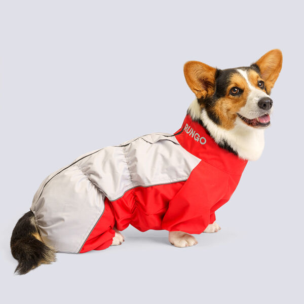 Дождевик Rungo для собак породы вельш-корги, мальчик