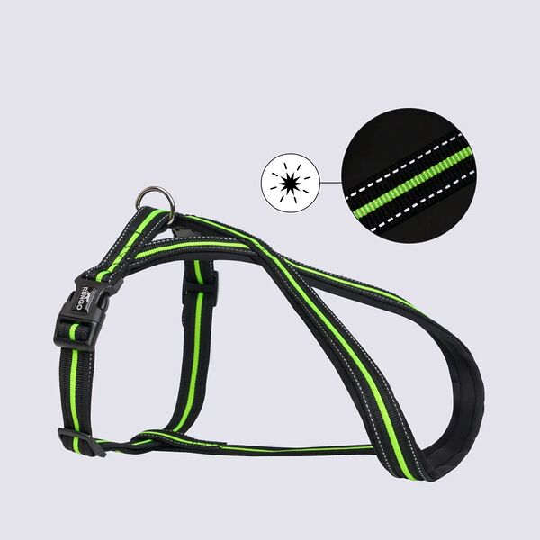 Шлейка Rungo X-shape M черный с зеленым 45-70 см x 23 мм 