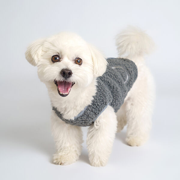 Жилет-пальто для собак Rurri графитовый S