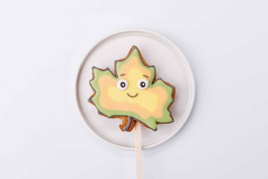 

Пряник ВкусВилл имбирный Осенняя коллекция на палочке в ассортименте 1шт. 40 г