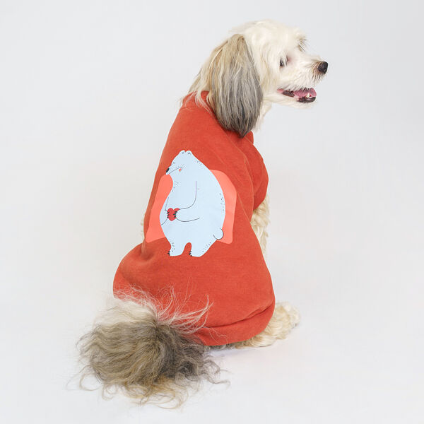 Толстовка Petmax для собак с медведем терракотовая XL