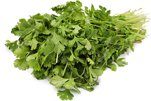 Кинза свежая, 100 г