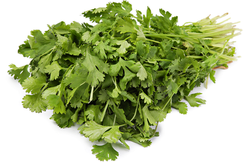 

Кинза свежая, 100 г