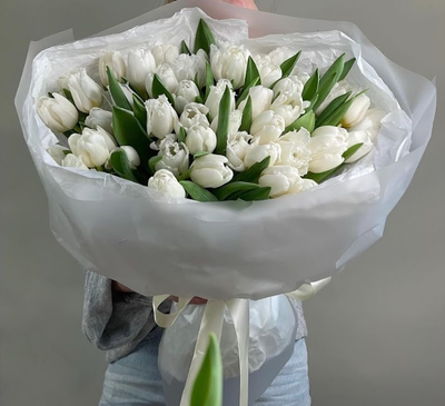 51 белый тюльпан премиум