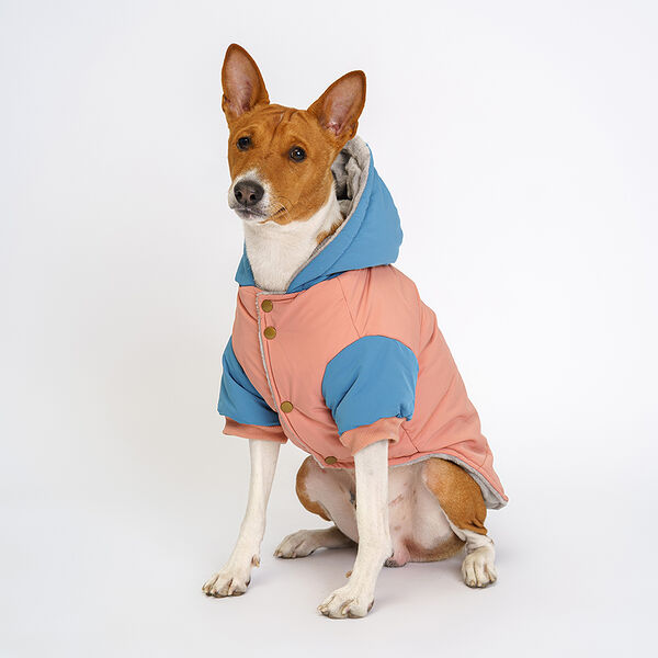 Куртка Petmax с мишками для собак 2XL терракотовый