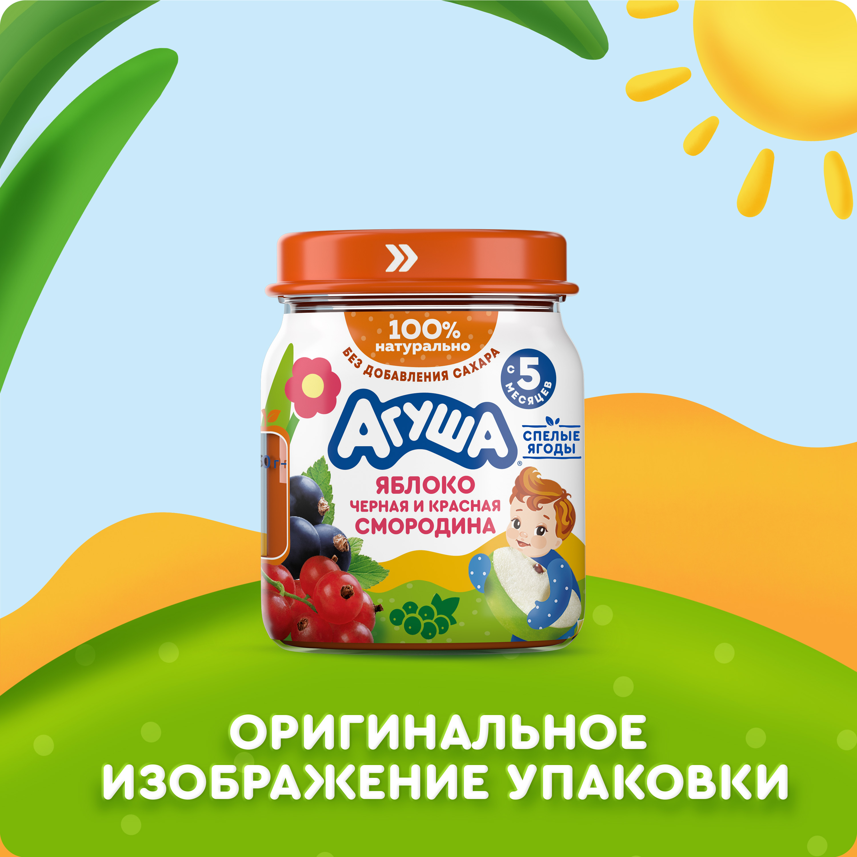 

Пюре фруктовое детское Агуша Черная Смородина-Красная Смородина с 5 месяцев 100 г