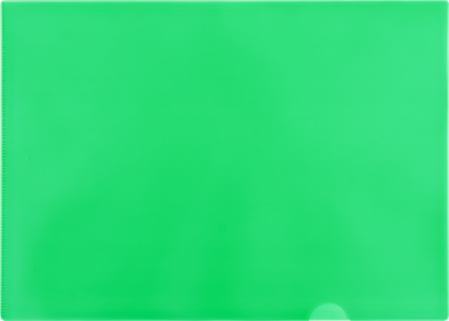 

Папка-уголок 365 дней А4 120 мкм цвет в ассортименте 5 шт.